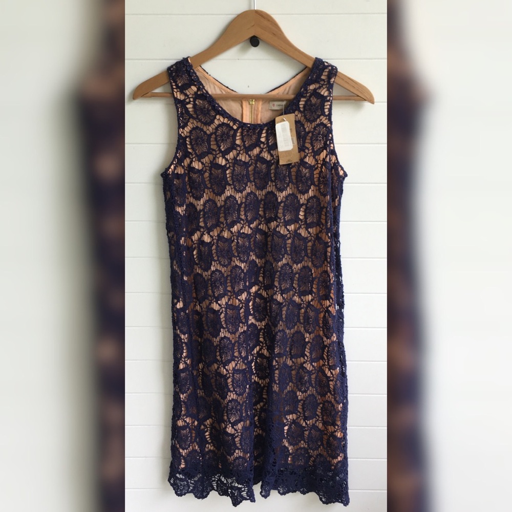 Cremieux Cream Lace Overlay Navy Dress NEW Sheath
